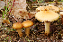  ( - MQ18-HRL1642-QFB29874)  @11 [ ] Copyright (2013) Renée Lebeuf Unspecified