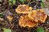  ( - MQ18-HRL1642-QFB29874)  @11 [ ] Copyright (2013) Renée Lebeuf Unspecified