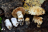  ( - MQ18-HRL2227-QFB29886)  @11 [ ] Copyright (2015) Renée Lebeuf Unspecified