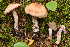  ( - MQ19-HRL2728-QFB31008)  @11 [ ] Copyright (2018) Renée Lebeuf Unspecified