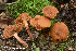  ( - MQ22-QFB33088-HRL3366)  @11 [ ] Copyright (c) (2021) Renee Lebeuf Unspecified