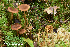  ( - MQ22-QFB33101-HRL3561)  @11 [ ] Copyright (c) (2021) Renee Lebeuf Unspecified