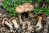  ( - MQ23-HRL4028)  @11 [ ] Copyright © (2022) Renee Lebeuf Unspecified