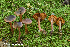  ( - MQ23-HRL4044)  @11 [ ] Copyright © (2022) Renee Lebeuf Unspecified
