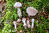  ( - MQ23-HRL4060)  @11 [ ] Copyright © (2022) Renee Lebeuf Unspecified