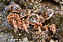  ( - MQ23-HRL4067)  @11 [ ] Copyright © (2022) Renee Lebeuf Unspecified