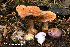  ( - MQ23-HRL4073)  @11 [ ] Copyright © (2022) Renee Lebeuf Unspecified