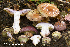 ( - MQ23-HRL4073)  @11 [ ] Copyright © (2022) Renee Lebeuf Unspecified