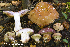  ( - MQ23-HRL4073)  @11 [ ] Copyright © (2022) Renee Lebeuf Unspecified
