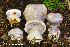  ( - MQ23-HRL4086)  @11 [ ] Copyright © (2022) Renee Lebeuf Unspecified
