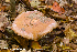  ( - MQ23-HRL4101)  @11 [ ] Copyright © (2022) Renee Lebeuf Unspecified