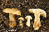  ( - MQ23-HRL4104)  @11 [ ] Copyright © (2022) Renee Lebeuf Unspecified