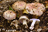  ( - MQ23-HRL4107)  @11 [ ] Copyright © (2022) Renee Lebeuf Unspecified