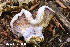  ( - MQ24-HRL4349)  @11 [ ] by-nc (2023) Renee Lebeuf Unspecified