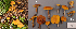  ( - MQ24-HL1992)  @11 [ ] bc-nc (2023) Herman_Lambert Unspecified