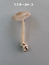  ( - MQ24-HL260)  @11 [ ] bc-nc (2023) Herman_Lambert Unspecified