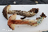  ( - MQ22-HRL3354-QFB33201)  @11 [ ] Copyright (c) (2021) Renee Lebeuf Unspecified