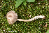  ( - MQ24-HRL3800)  @11 [ ] by-nc (2022) Renee Lebeuf Unspecified