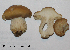  ( - MQ25-HL0034)  @11 [ ] Unspecified (default): All Rights Reserved (2008) Herman Lambert Unspecified