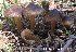  ( - MQ25-HL0735)  @11 [ ] Unspecified (default): All Rights Reserved (2010) Herman Lambert Unspecified