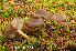  ( - MQ25-HL0947)  @11 [ ] Unspecified (default): All Rights Reserved (2010) Herman Lambert Unspecified