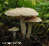  ( - MQ25-HL1111)  @11 [ ] Unspecified (default): All Rights Reserved (2011) Herman Lambert Unspecified