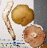  ( - MQ25-HL1605)  @11 [ ] Unspecified (default): All Rights Reserved (2019) Herman Lambert Unspecified