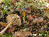  ( - MQ25-HL1667)  @11 [ ] Unspecified (default): All Rights Reserved (2019) Herman Lambert Unspecified