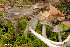  ( - MQ24a-HRL0055)  @11 [ ] CreativeCommons - Attribution Non-Commercial (2024) Renee Lebeuf Mycoquebec