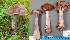  ( - MQ23-HL1873)  @11 [ ] copyright (c) (2022) Herman Lambert Unspecified