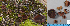  (Legaliana - MQ23-HL1875)  @11 [ ] copyright (c) (2022) Herman Lambert Unspecified