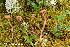  ( - MQ23-HRL3861)  @11 [ ] copyright © (2022) Renee Lebeuf Unspecified