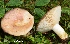 ( - MQ23-HRL3873)  @11 [ ] copyright © (2022) Renee Lebeuf Unspecified