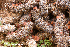  ( - MQ23-HRL3882)  @11 [ ] copyright © (2022) Renee Lebeuf Unspecified