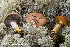  ( - MQ23-HRL3890)  @11 [ ] copyright © (2022) Renee Lebeuf Unspecified