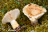  ( - MQ23-HRL3893)  @11 [ ] copyright © (2022) Renee Lebeuf Unspecified