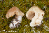  ( - MQ23-HRL3895)  @11 [ ] copyright © (2022) Renee Lebeuf Unspecified