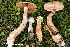  ( - MQ23-HRL3909)  @11 [ ] copyright © (2022) Renee Lebeuf Unspecified
