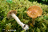  ( - MQ23-HRL3944)  @11 [ ] copyright © (2022) Renee Lebeuf Unspecified