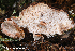  ( - MQ23-HRL3977)  @11 [ ] copyright © (2022) Renee Lebeuf Unspecified