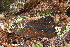  ( - MQ23-HRL3977)  @11 [ ] copyright © (2022) Renee Lebeuf Unspecified