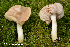  ( - MQ23-HRL3992)  @11 [ ] copyright © (2022) Renee Lebeuf Unspecified