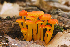  ( - MQ22-HRL0436-QFB33146)  @11 [ ] Copyright (c)  Renee Lebeuf Unspecified