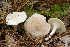  ( - MQ22-HRL0891)  @11 [ ] Copyright (2011) Renee Lebeuf Unspecified
