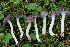  ( - MQ22-HRL1233)  @11 [ ] Copyright (2012) Renee Lebeuf Unspecified