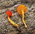  ( - MQ23-HRL1288)  @11 [ ] copyright © (2012) Renee Lebeuf Unspecified