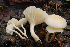  ( - MQ22-HRL1594)  @11 [ ] Copyright (2013) Renee Lebeuf Unspecified