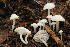  ( - MQ22-HRL1761)  @11 [ ] Copyright (2014) Renee Lebeuf Unspecified