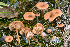  ( - MQ22-HRL3300)  @11 [ ] Copyright (2020) Renee Lebeuf Unspecified