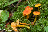  ( - MQ22-HRL3411-QFB33186)  @11 [ ] Copyright (c)  Renee Lebeuf Unspecified